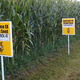 Image for article titled Yes, GMOs are Safe to Eat